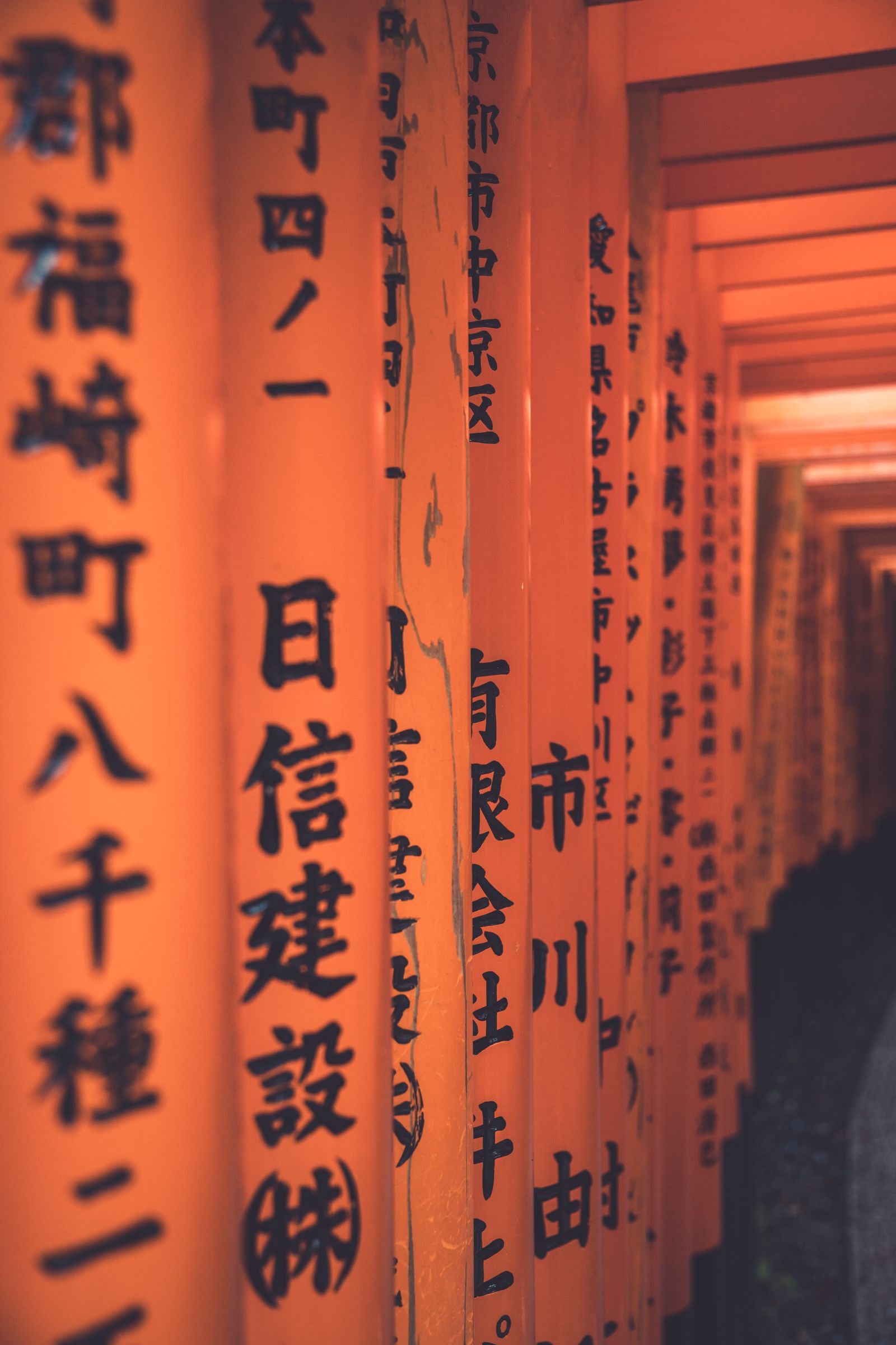 Ilustrační fotografie destinace — Japonsko
